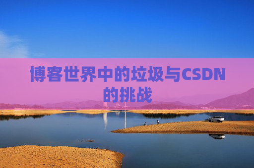 博客世界中的垃圾与CSDN的挑战